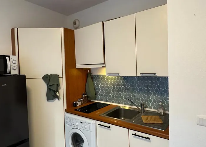 Appartement Le Petit Citronnier Cosy Avec Loggia